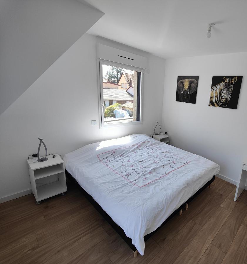 Appartement 48m², Strasbourg Centre A 15 Min En Train Fegersheim